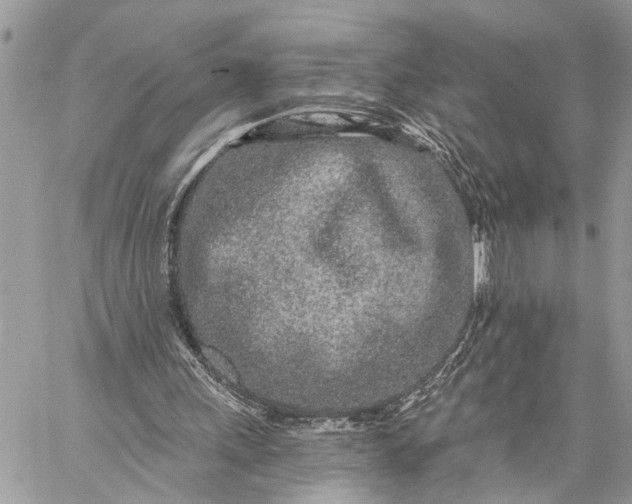 X0000059100243200510211639