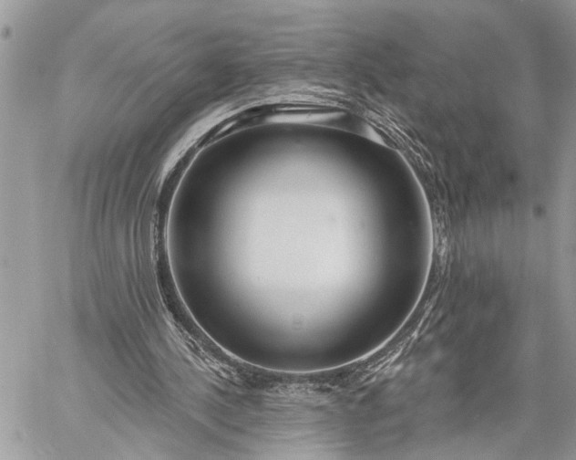 X0000059100244200510211639