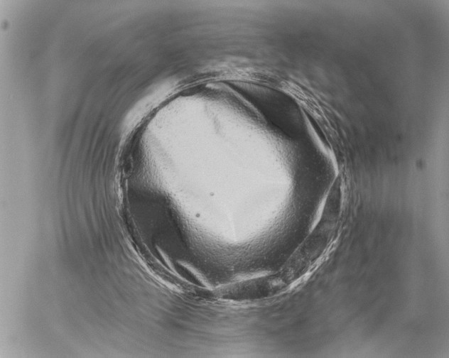 X0000059100245200510211639