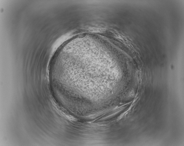 X0000059100246200510211639