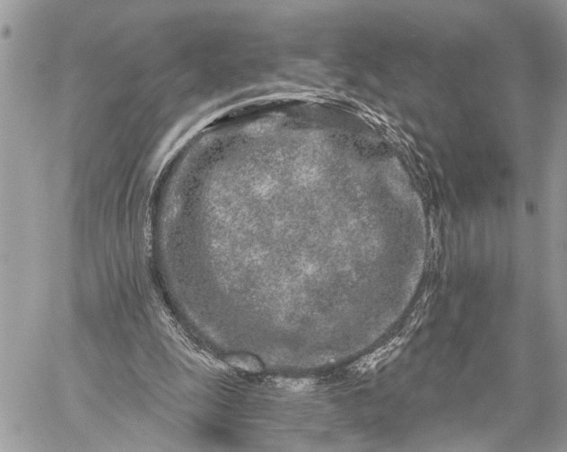 X0000059100247200510211639