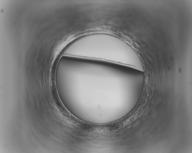 X0000059100248200510211639