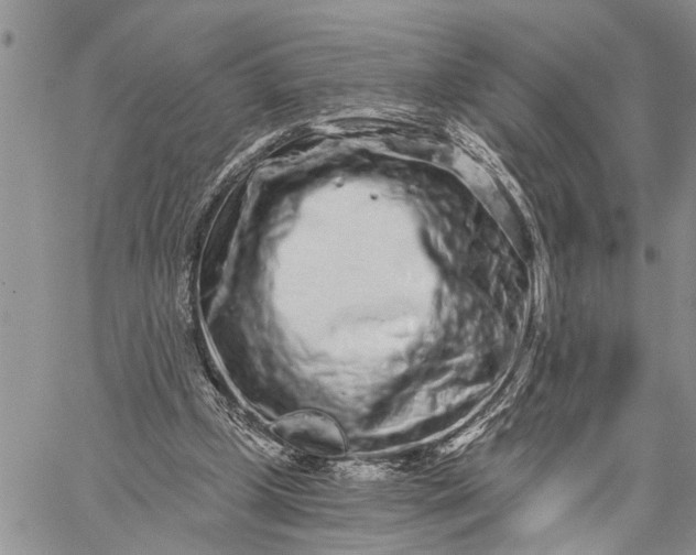 X0000059100249200510211639