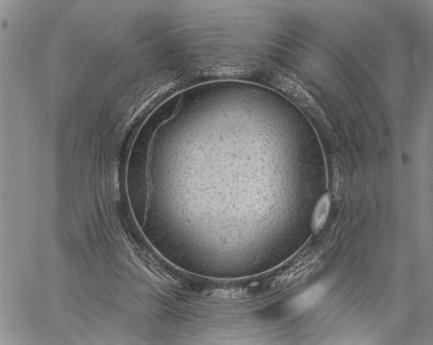 X0000059100251200510211640