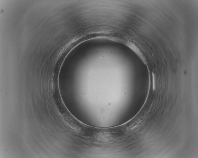 X0000059100252200510211640