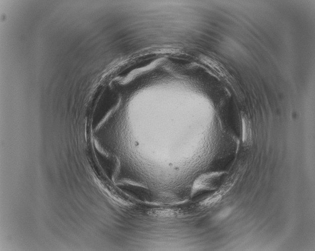 X0000059100253200510211640