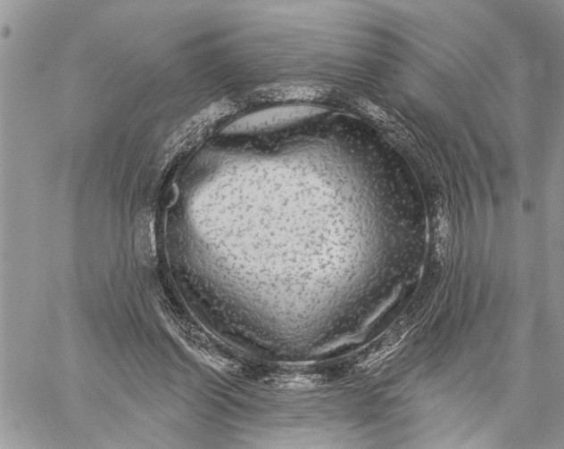 X0000059100254200510211640