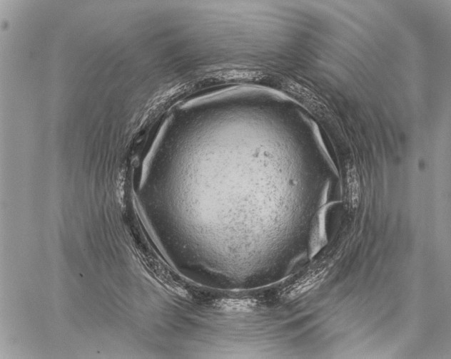 X0000059100255200510211640