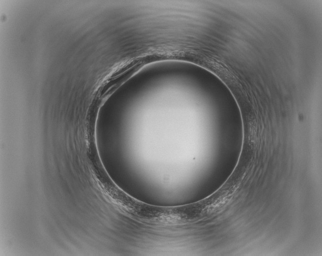 X0000059100256200510211640