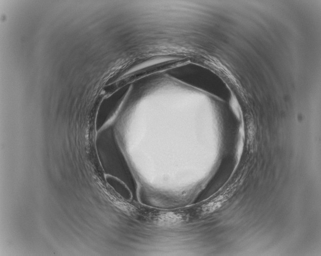 X0000059100257200510211640