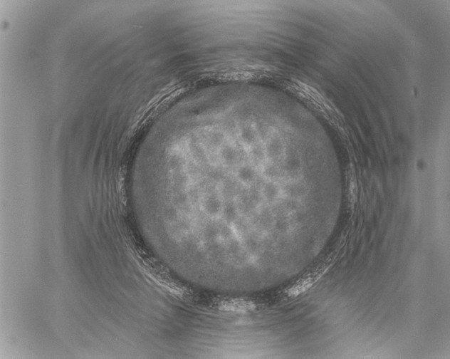 X0000059100258200510211640