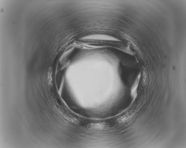 X0000059100259200510211640