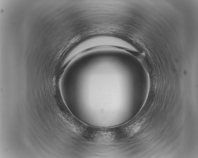 X0000059100260200510211640