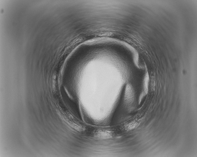 X0000059100263200510211640
