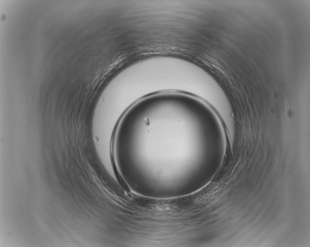 X0000059100264200510211640