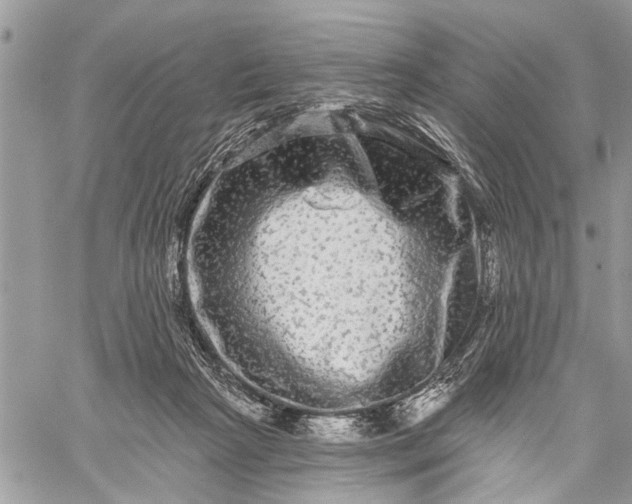 X0000059100265200510211640