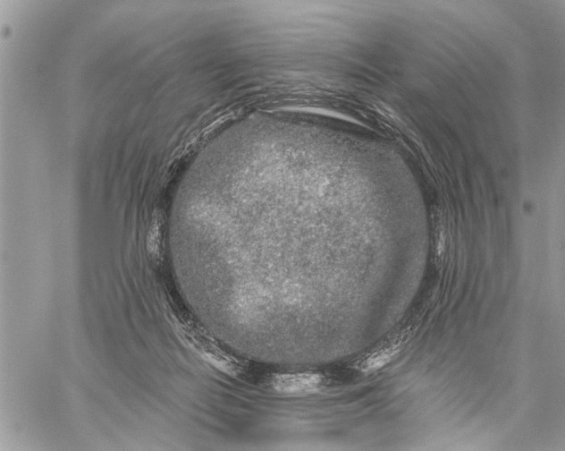 X0000059100266200510211640