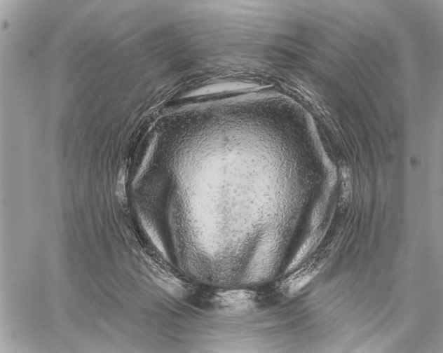 X0000059100269200510211640