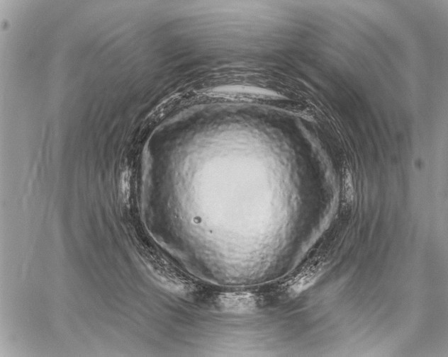 X0000059100271200510211640