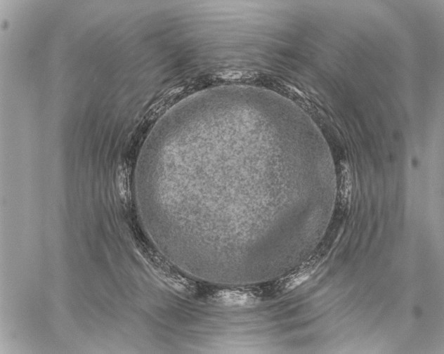 X0000059100272200510211640