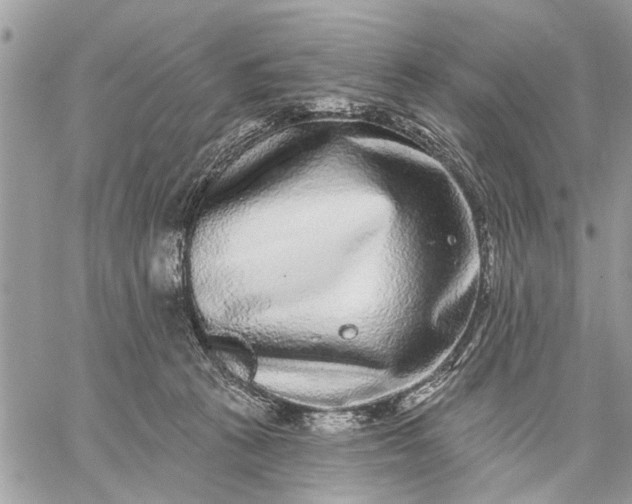 X0000059100273200510211640