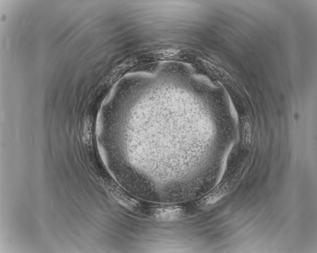 X0000059100274200510211640