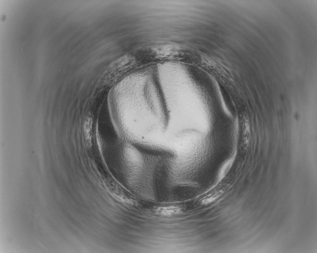 X0000059100275200510211640