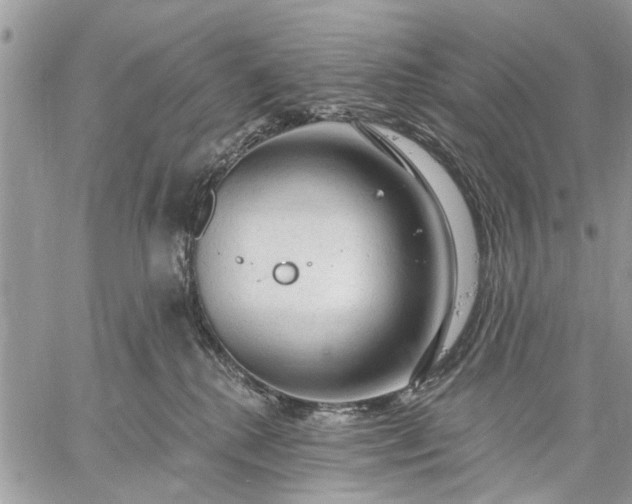 X0000059100280200510211640