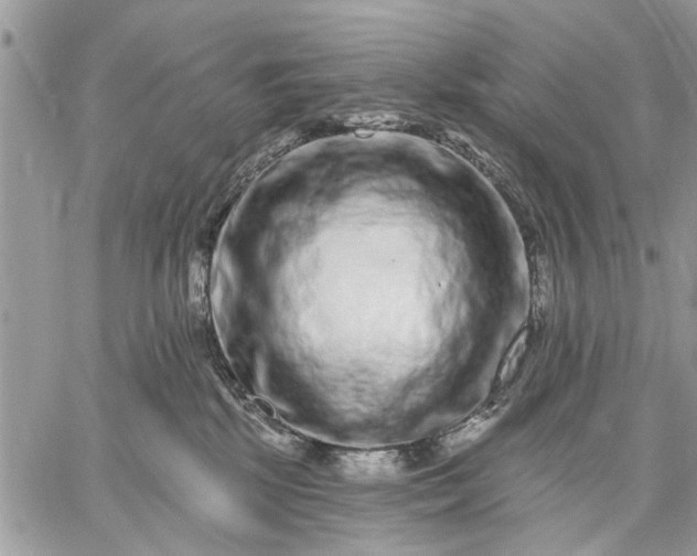 X0000059100281200510211640