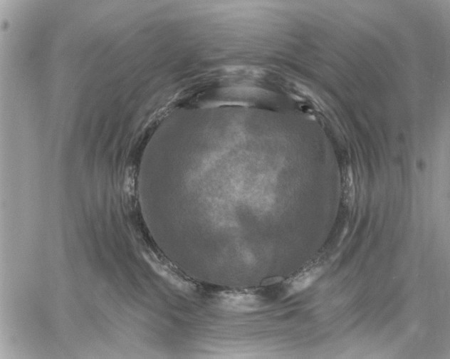 X0000059100284200510211640