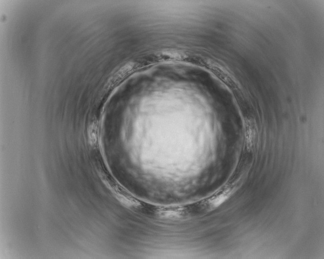 X0000059100285200510211640