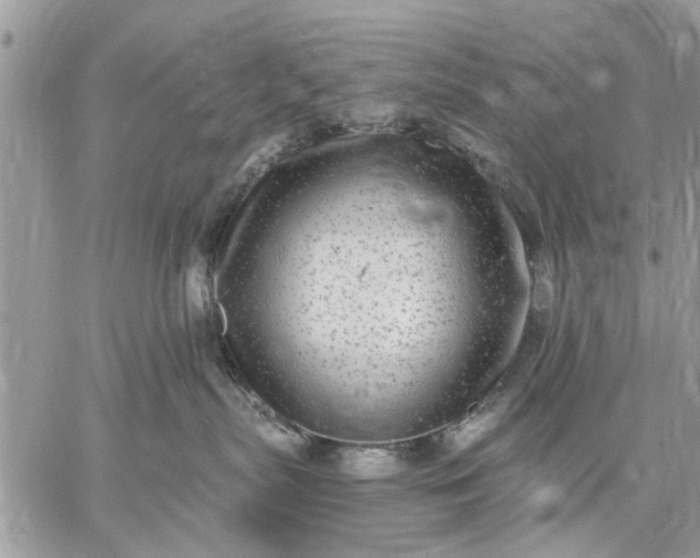 X0000059100287200510211640