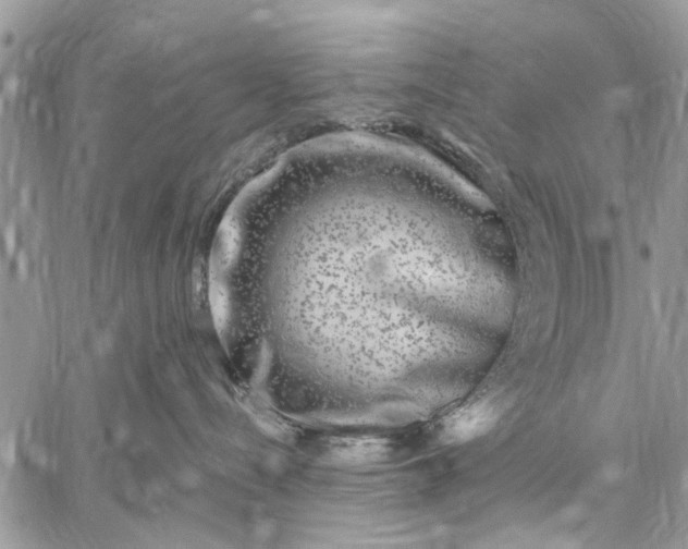 X0000059100288200510211640