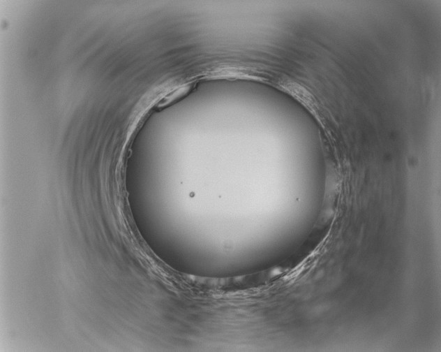 X0000059100289200510211639