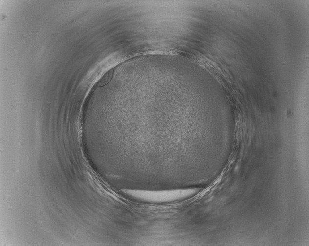 X0000059100290200510211639