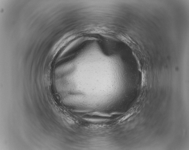 X0000059100291200510211639