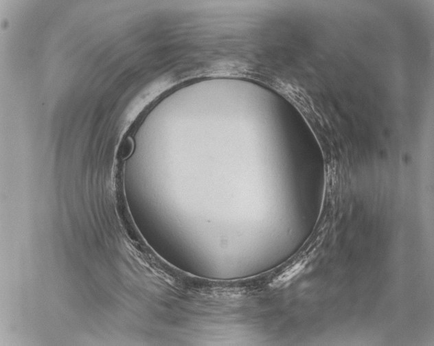 X0000059100292200510211639