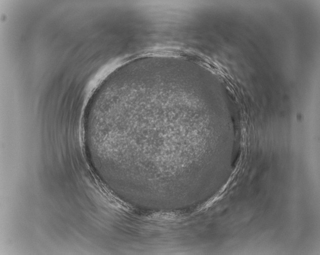 X0000059100294200510211639