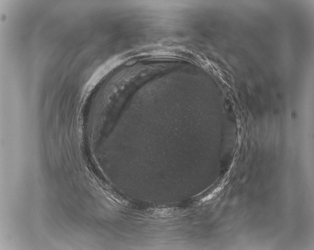 X0000059100295200510211639