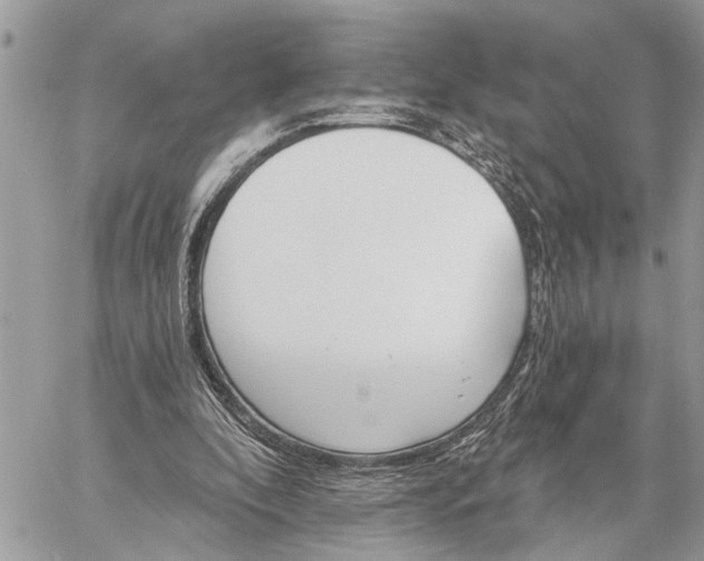 X0000059100296200510211639