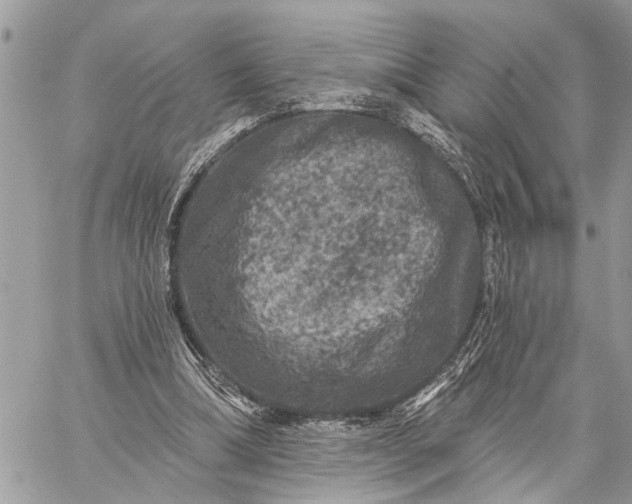 X0000059100298200510211639