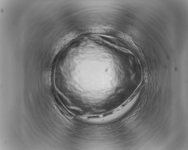 X0000059100299200510211639