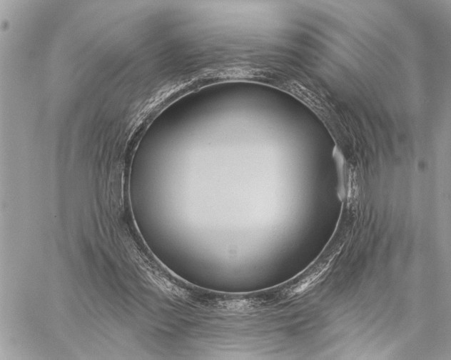 X0000059100301200510211639