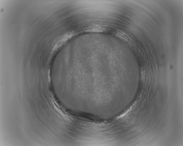 X0000059100302200510211639