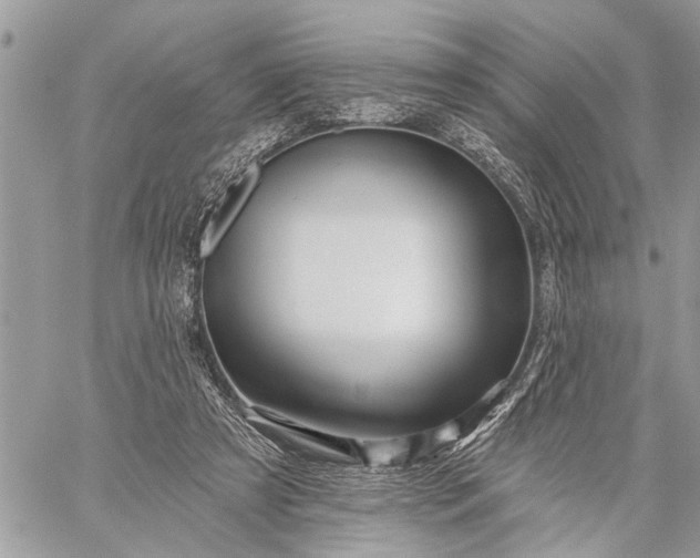 X0000059100305200510211639