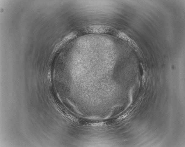 X0000059100306200510211639