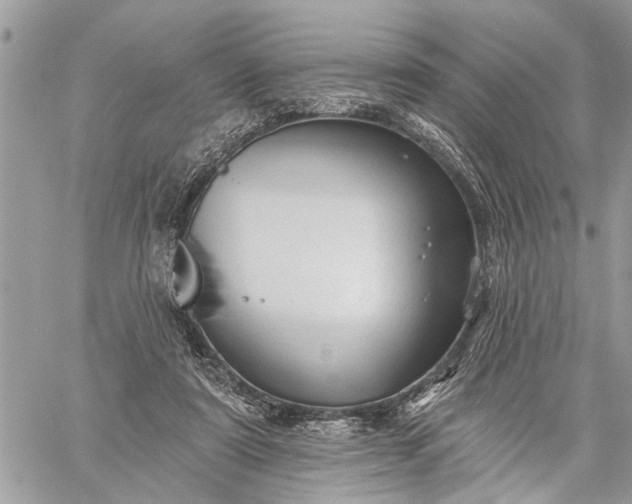 X0000059100307200510211639