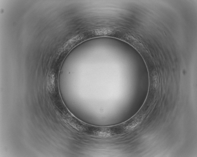 X0000059100308200510211639