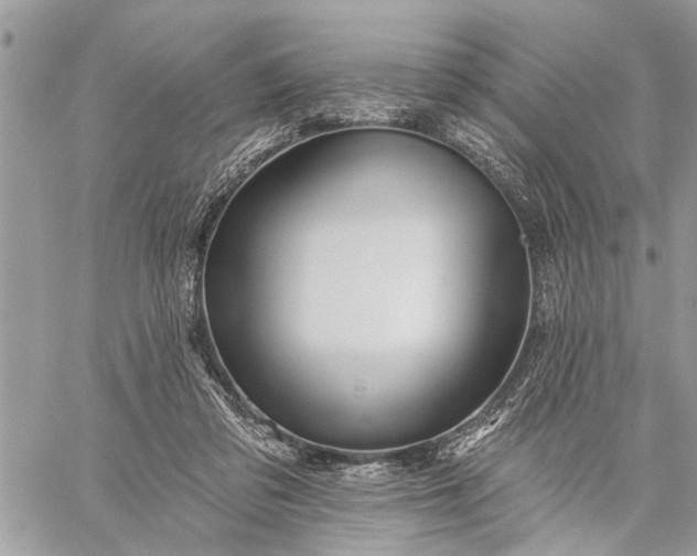 X0000059100309200510211639