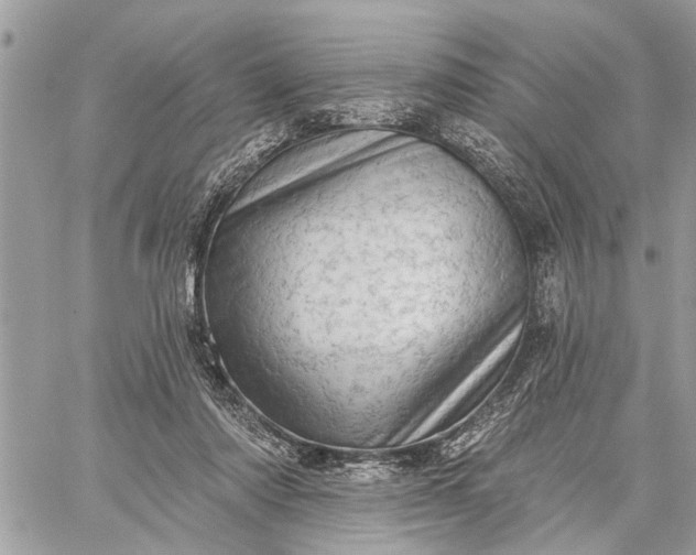 X0000059100310200510211639